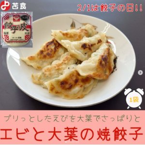 画像1: 苫食 大判餃子の皮